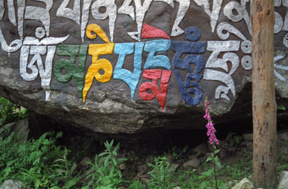 Mani stones on the way to Lawudo.