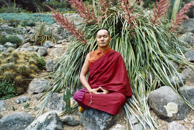 Lama Yeshe meditating in the botanical gardens, Berkeley, California, 1974. Photo: Judy Weitzner. 