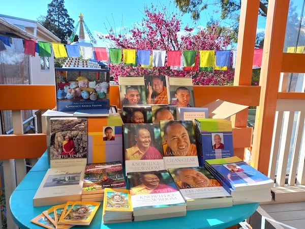 FPMT center Dorje Chang Institute in Auckland, New Zealand, displays LYWA publications received through the Family Feeling Project, August 2025. Photo: Gyälten Wangmo.