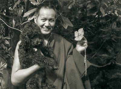 Lama Yeshe and Bobik under Beatrice Ribush’s magnolia tree, Melbourne, Australia, 1974. Photo: Dorian Ribush.