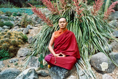 Lama Yeshe meditating in the botanical gardens, Berkeley, California, 1974. Photo: Judy Weitzner. 