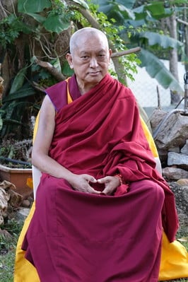 Lama Zopa Rinpoche in the garden at Osel Labrang, Sera Je Monastery, India, December 2015.  Photo: Ven. Roger Kunsang.
