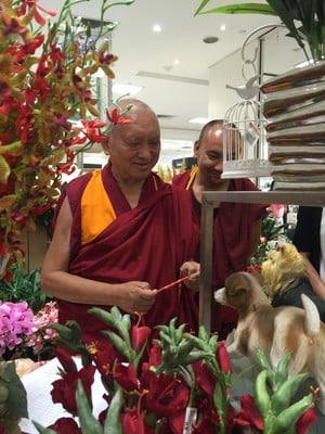 Lama Zopa Rinpoche shops for flowers in Singapore, March 2016. Photo: Roger Kunsang.