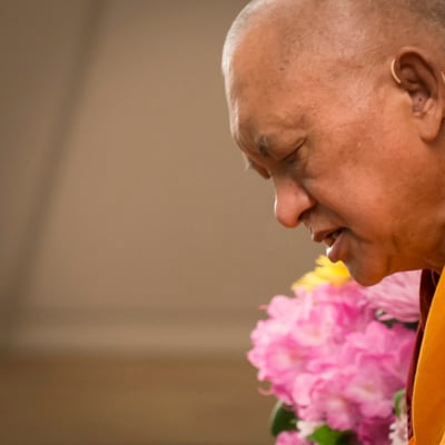 Lama Zopa Rinpoche teaching at the Light of the Path retreat, North Carolina, USA, May 2014. Photo: Roy Harvey.