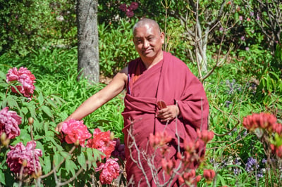 Lama Zopa Rinpoche at Chenrezig Institute, Eudlo, Australia, 1994.  