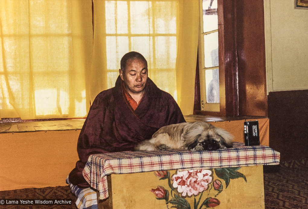 (04643_pr-3.JPG) Lama Yeshe with Yeshe Senge, his dog, Tushita Retreat Centre, Dharamsala, India, 1980.
