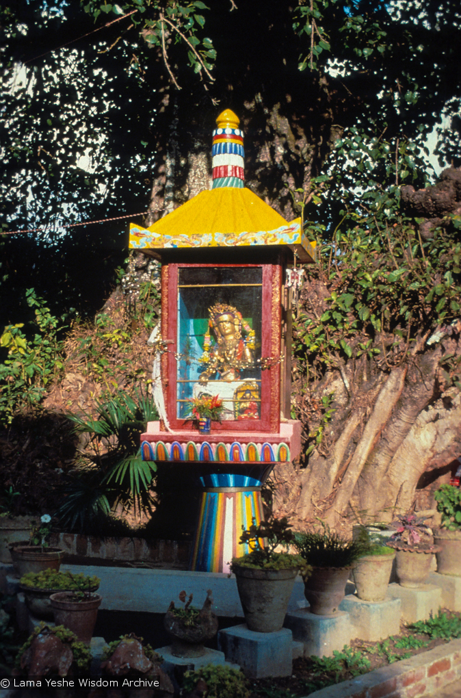 (09598_sl.JPG) Tara statue installed in the glass house overlooking the pond, Kopan Monastery, Nepal, 1976.