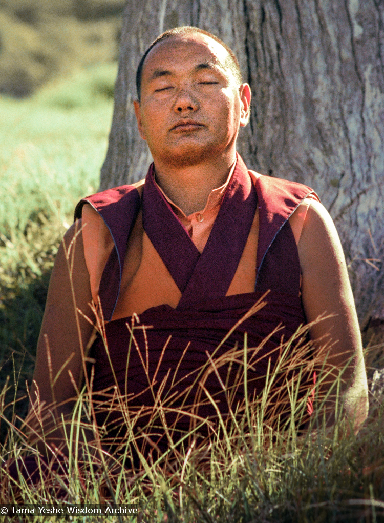 (11709_ng.JPG) Lama Yeshe in meditation, 1975. On Saka Dawa (the celebration of Buddha&#039;s birth, enlightenment, and death), Lama Yeshe asked everyone to come outside after a Guru Puja for a meditation on the hill behind the gompa. Chenrezig Institute, Australia, May 25, 1975. Photo by Wendy Finster.