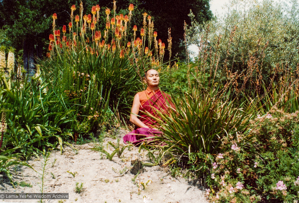 (12528_pr.jpg) Lama Yeshe meditating in the botanical gardens, Berkeley, California, 1974 Photo donated by Judy Weitzner.