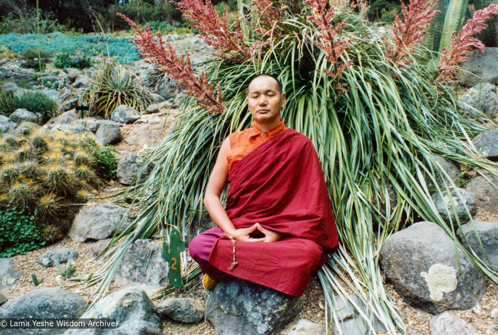 (12530_pr.jpg) Lama Yeshe meditating in the botanical gardens, Berkeley, California, 1974 Photo donated by Judy Weitzner.