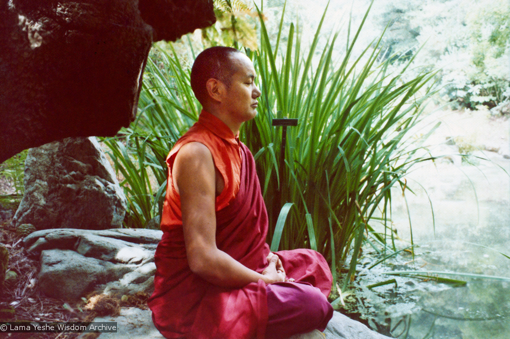 (12533_pr-2.psd) Lama Yeshe meditating in the botanical gardens, Berkeley, California, 1974. Photo donated by Judy Weitzner.