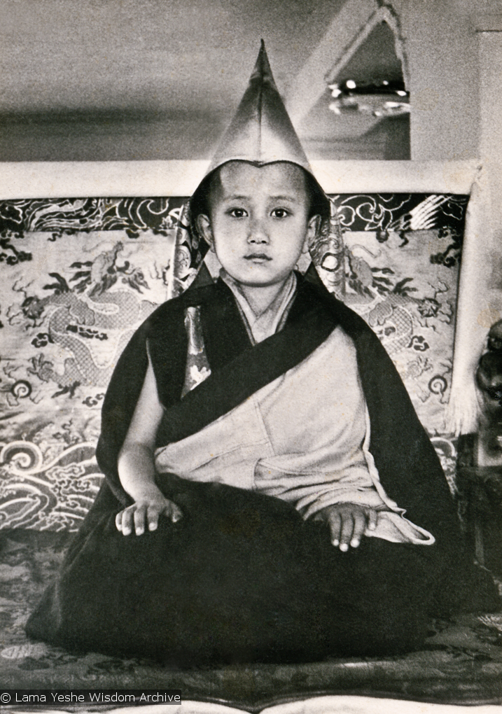 (13245_pr3.psd) Enthronement of Yangsi Rinpoche, 1975. Kelsang Puntsog Rinpoche, the son of Lama Yeshe&#039;s old friend Jampa Trinley, was later recognized to be the reincarnation of Geshe Ngawang Gendun, one of Lama&#039;s teachers. In January 1975 he was enthroned at Kopan Monastery, Nepal, after which he became known to all as Yangsi Rinpoche. Elizabeth Drukier donated the photo.