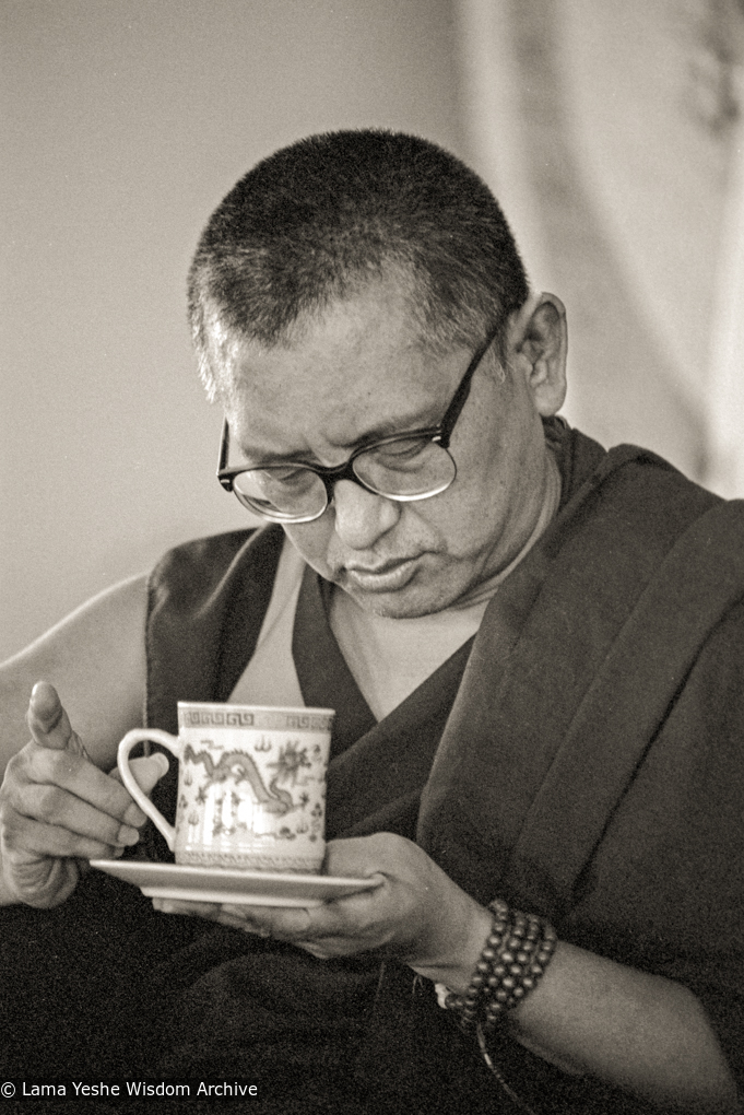 Rinpoche at CIN 1991