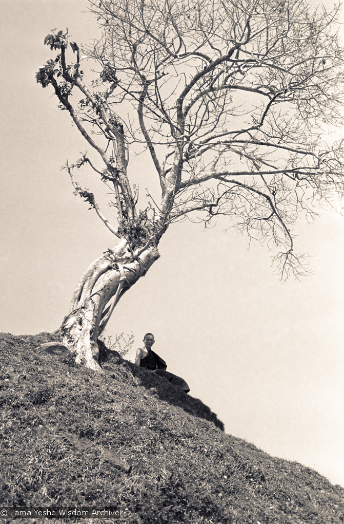 (15148_ng.psd) Ann McNeil (Anila Ann) under a tree on &quot;astrologer&#039;s hill&quot;, Kopan Monastery, Nepal, 1972. Anila Ann was an early student of the Lamas and one of the first western women to ordain as a nun.