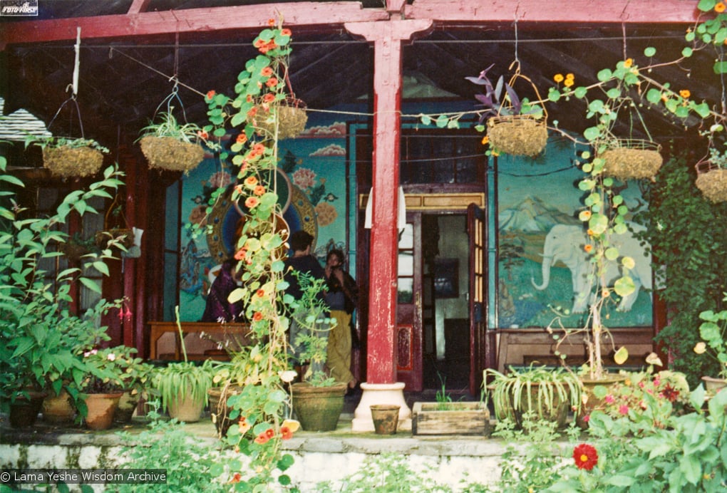 The Front Veranda at Tushita