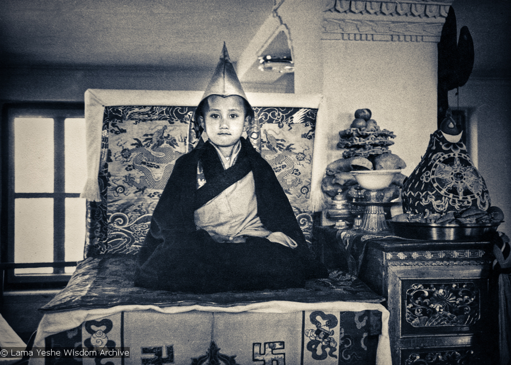(15903_pr.psd) Enthronement of Yangsi Rinpoche, 1975. Kelsang Puntsog Rinpoche, the son of Lama Yeshe&#039;s old friend Jampa Trinley, was later recognized to be the reincarnation of Geshe Ngawang Gendun, one of Lama&#039;s teachers. In January 1975 he was enthroned at Kopan Monastery, Nepal, after which occasion he became known to all as Yangsi Rinpoche.