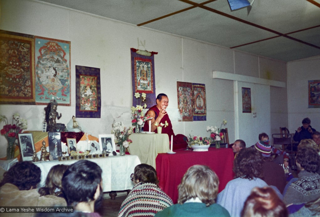 Lama at Olinda, 1976