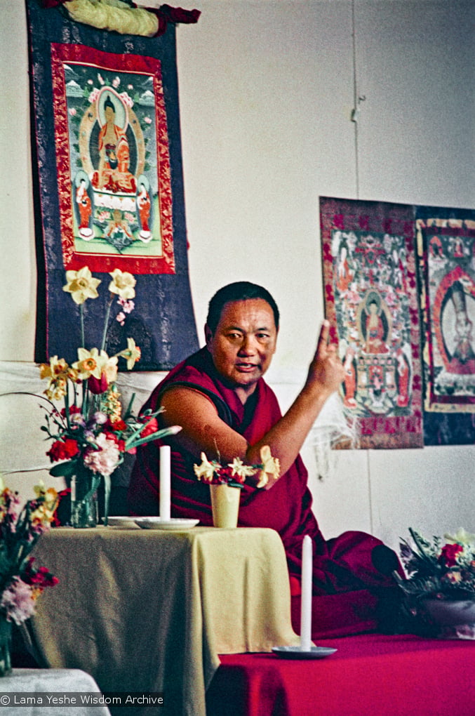 Lama at Olinda, 1976