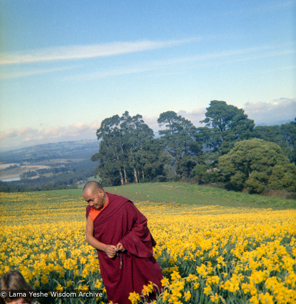 (16732_ng.tif) Lama Yeshe and Yeshe Khadro (Marie Obst) visiting the Dandenong Ranges near Melbourne, Australia with Peter Stripes and his two eldest children, 1976.