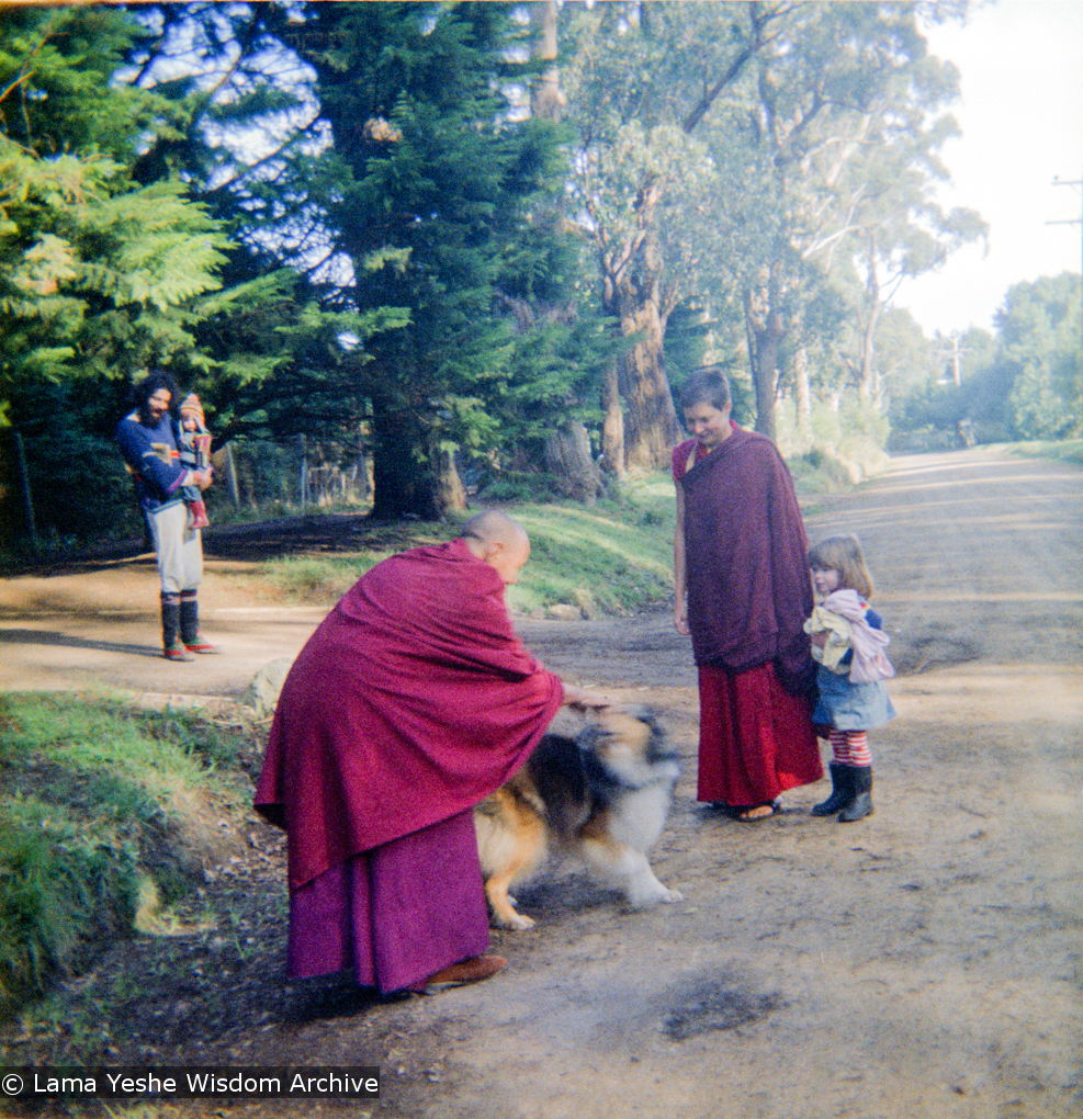 (16735_ng.tif)  Lama Yeshe and Yeshe Khadro (Marie Obst) visiting the Dandenong Ranges near Melbourne, Australia with Peter Stripes and his two eldest children, 1976.