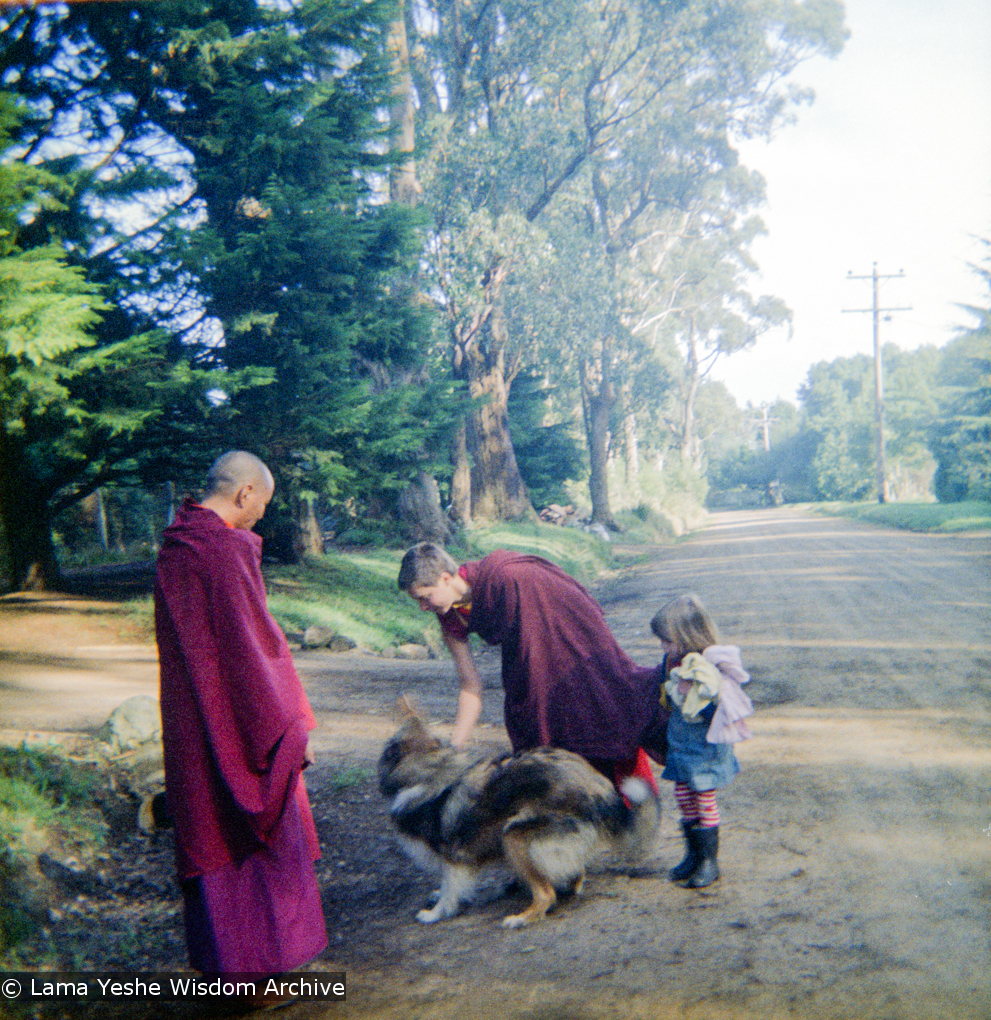 (16736_ng.tif)  Lama Yeshe and Yeshe Khadro (Marie Obst) visiting the Dandenong Ranges near Melbourne, Australia with Peter Stripes and his two eldest children, 1976.