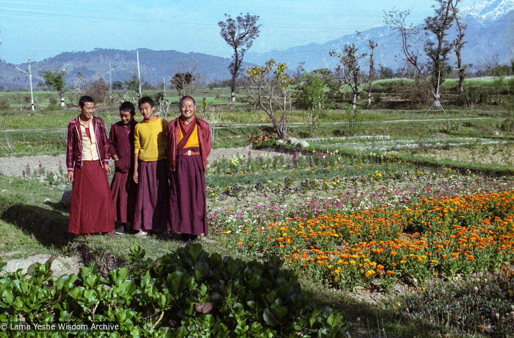 (22411_ng-3.psd) Shopping at the flower farm near McLeod Ganj with Charok Lama, Lama Yeshe, Thubten Jamyang and Tenpa Choden, Dharamsala, 1982.