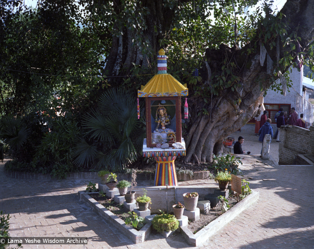 (22859_ng.tif) Tara Pond at Kopan Monastery, Nepal, 1979.
