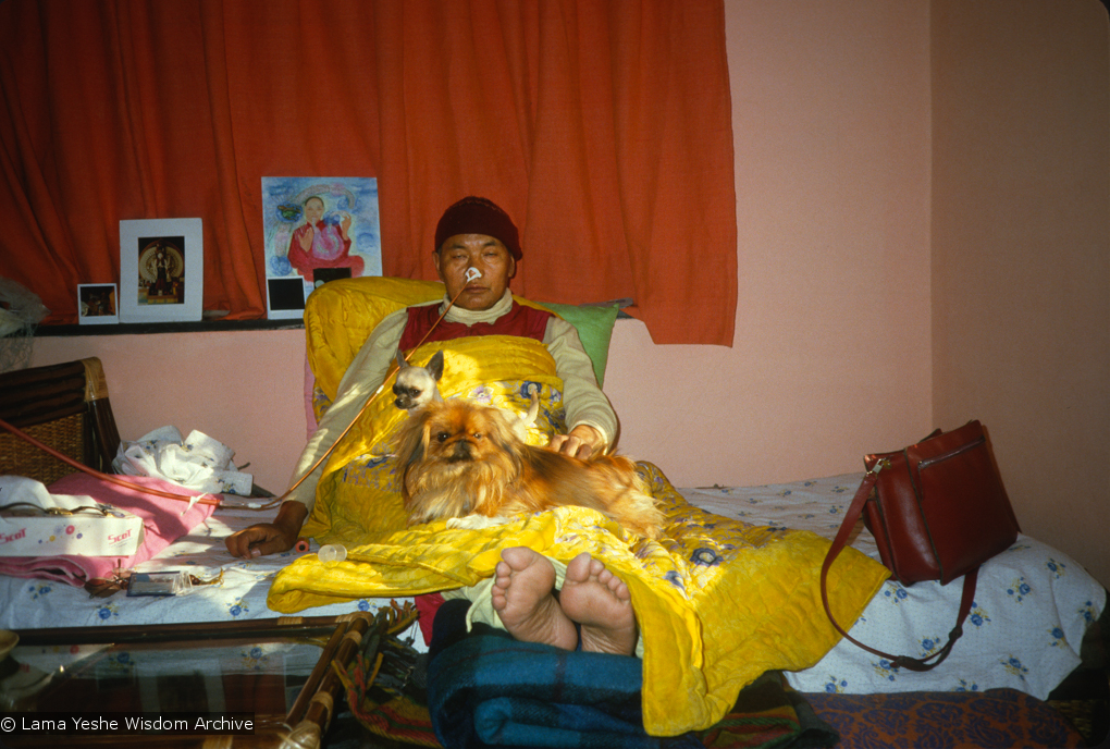 Lama Yeshe in Delhi shortly before he was brought to America for treatment of his heart condition. Photo by Lama Zopa Rinpoche.