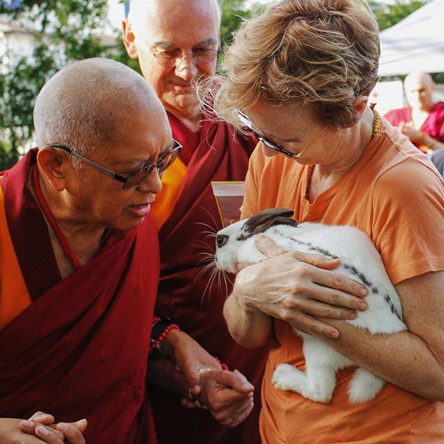 Lama Zopa Rinpoche blesses a rabbit held by Wendy Cook at Kurukulla Center. August, 2018