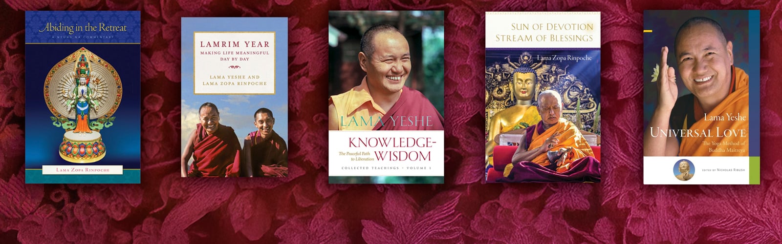 Picture of 5 LYWA publications