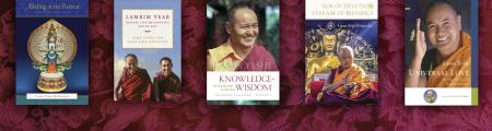 Picture of 5 LYWA publications