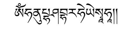 Tibetan script of "Just by Seeing" mantra OM HANU PHASHA BHARA HE YE SVAHA