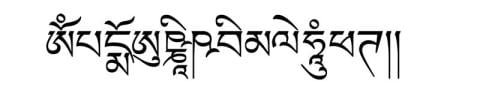 Tibetan script of Lotus Pinnacle of Amoghapasha mantra, OM PADMO USHNISHA VIMALE HUM PHAT.