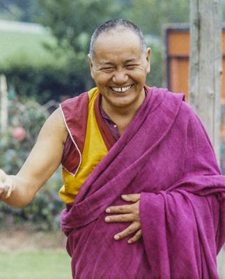 Lama, 1982