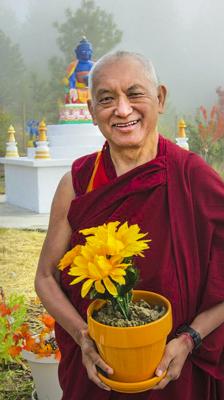 Protraits of Rinpoche, 2010