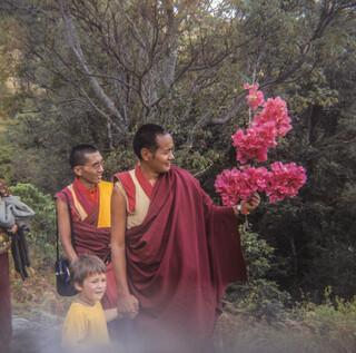 Lama Yeshe and Lama Zopa Rinpoche walking from Diamond Valley to Chenrezig Institute land, Australia, September 1974. Photo: Wendy Hobbs.