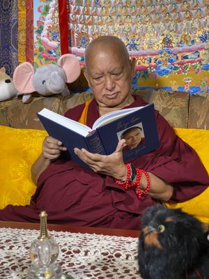 Lama Zopa Rinpoche enjoying his copy of Big Love, Kopan Monastery, Nepal, April 2020. Photo: Ven. Roger Kunsang.