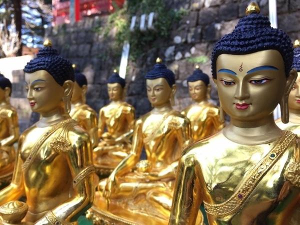 Shakyamuni Buddha statues