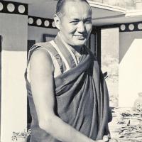 Lama on the roof, Kopan, 1974