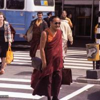 Lama arriving in Amsterdam, 1979