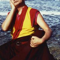 Lama at the Ocean, 1983