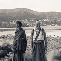 Lamas, Auckland, 1974