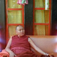 Kopan, 1981