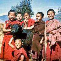 MEC students with a baby water buffalo, 1976