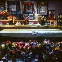 Lama's casket in the Vajrapani gompa, 1984