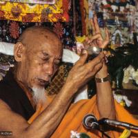 Pujas for Lama Yeshe, 1984