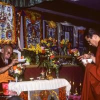 Pujas for Lama Yeshe, 1984