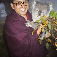 Rinpoche with koala, 1983
