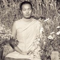 Portrait of Lama Yeshe, 1971