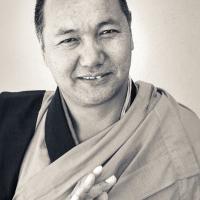 Portraits of Lama, 1977